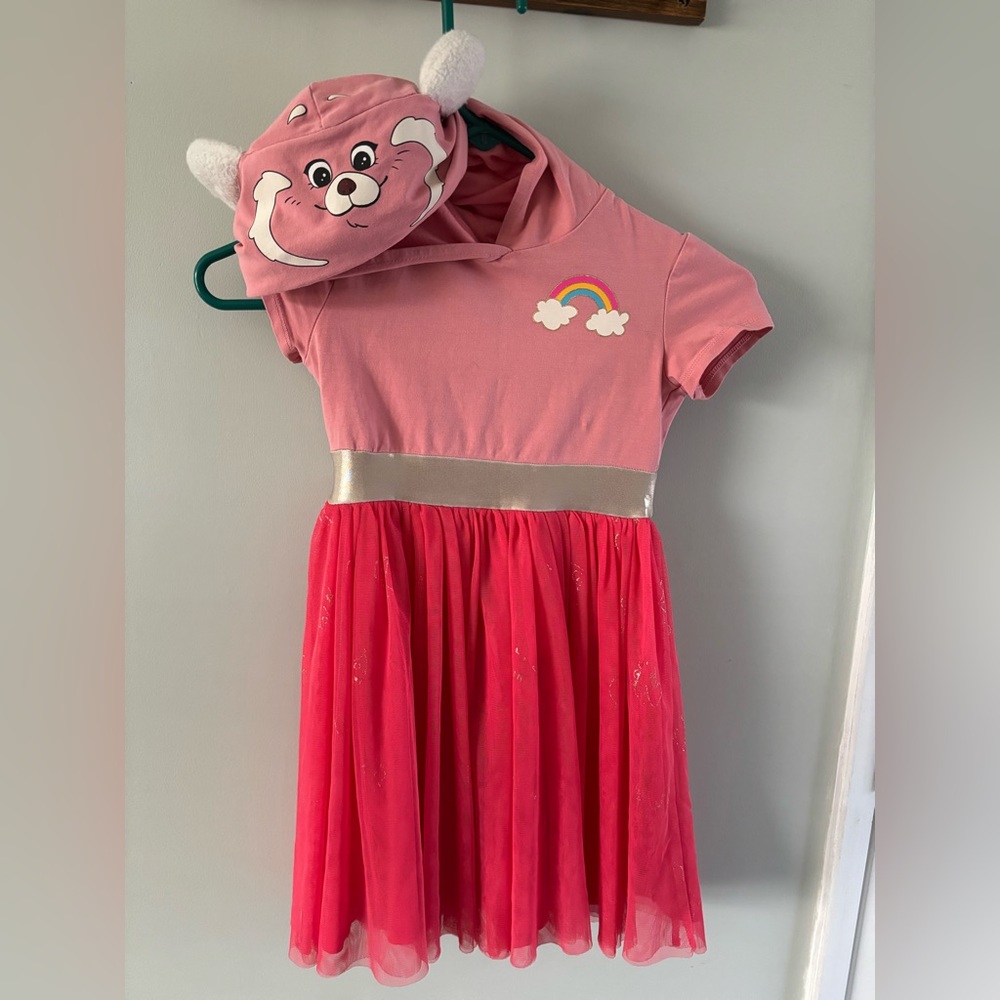 Pink Rainbow Dress with Bear Hat